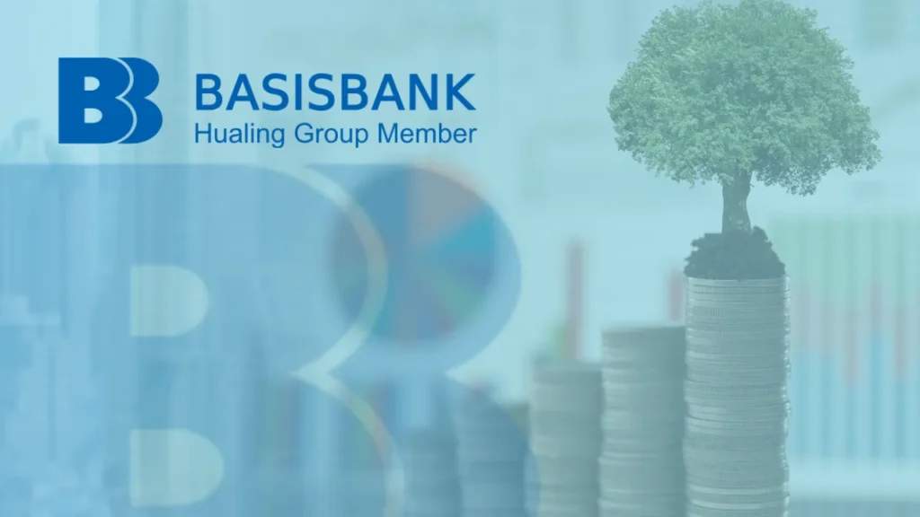 Seu Guia Detalhado para Pedir um Empréstimo BasisBank