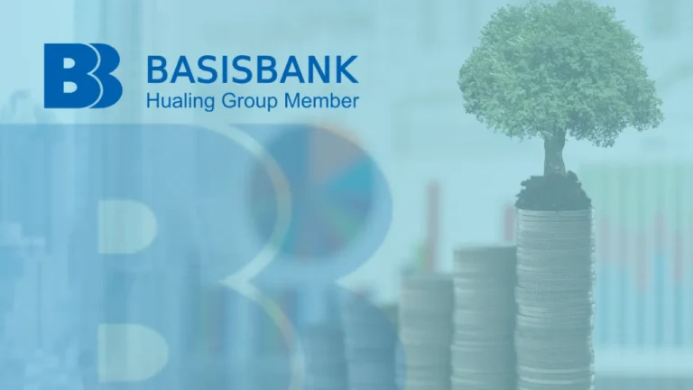 Seu Guia Detalhado para Pedir um Empréstimo BasisBank