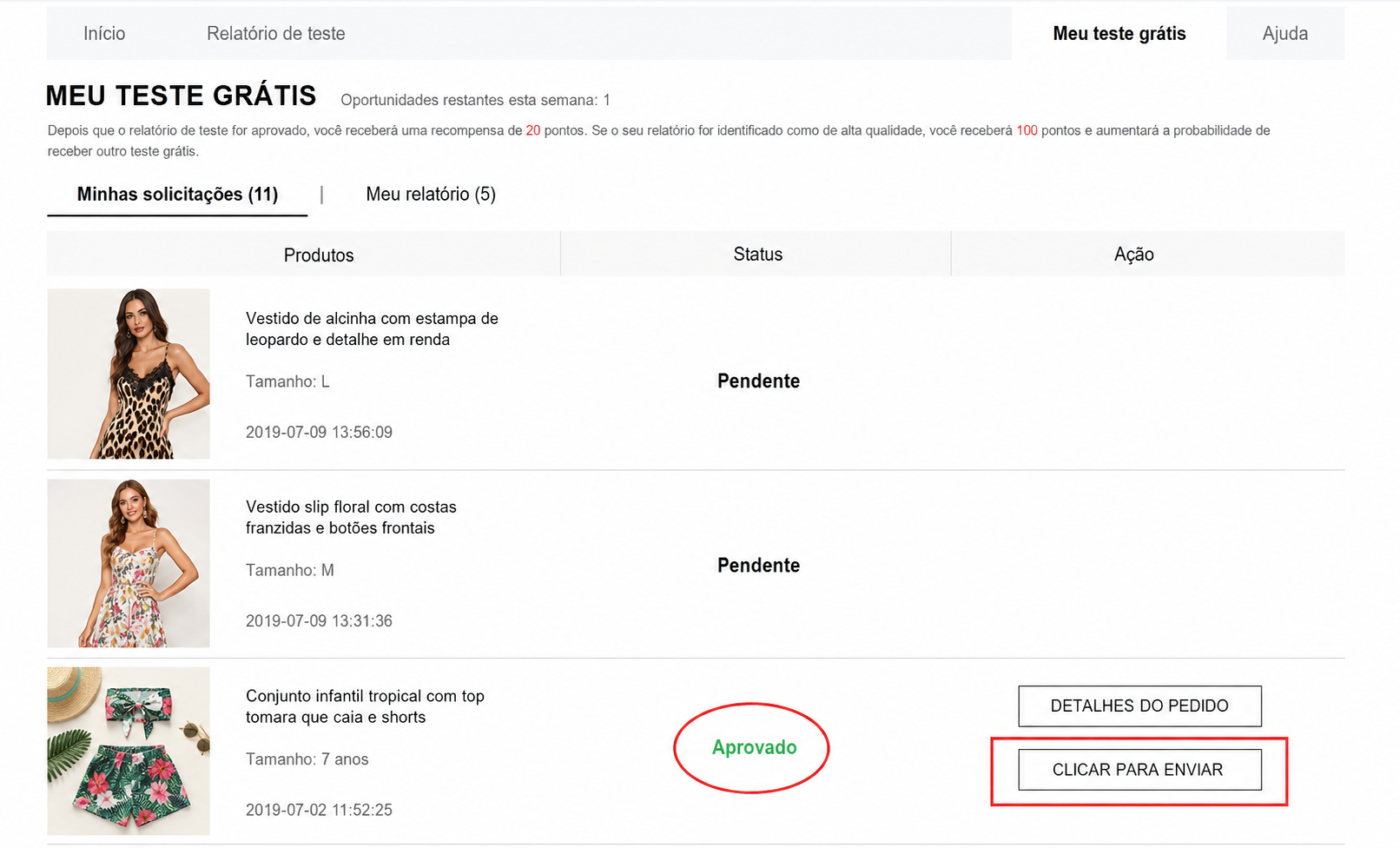 Pedido com status Aprovado e a opção de carregar o relatório de teste