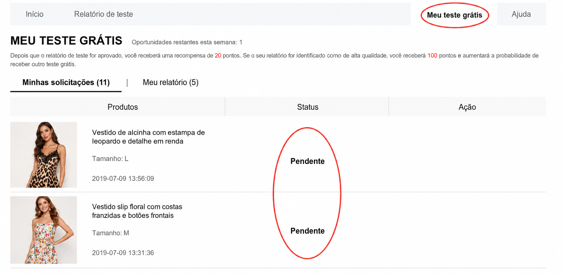 Seção Meu Teste Gratuito exibindo pedidos com o status Pendente